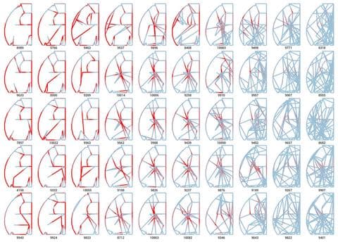 A320 Bionic Partition | Danil Nagy